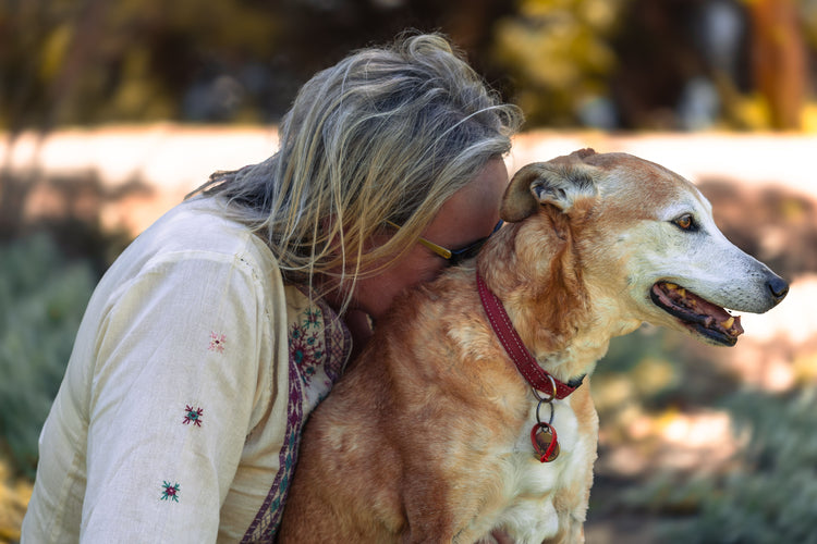 Dog diarrhoea: could it be Parvovirus, Coronavirus or Giardia?