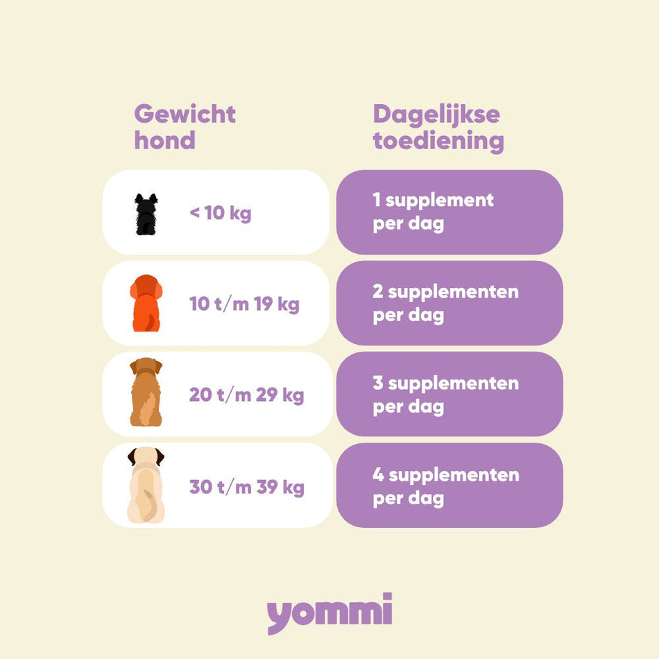 Yommi Calm Skin – Anti-Itch Chews with Probiotics for Dogs - image 2