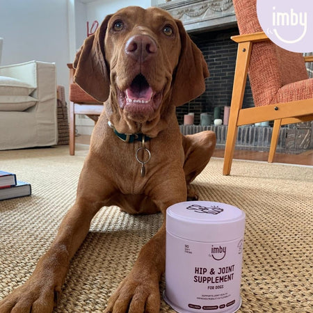 Imby Hip & Joint Supplement for Dogs - image 10