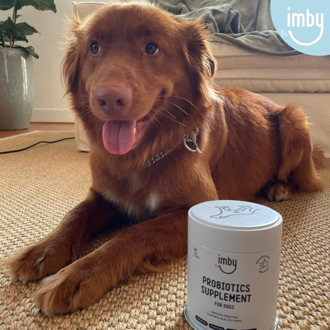Imby Probiotics Supplement for Dogs - image 10