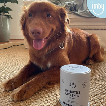 Imby Probiotics Supplement for Dogs - image 10