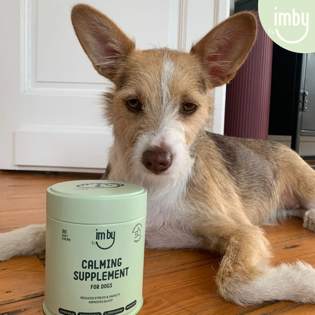 Imby Calming Supplement for Dogs - image 10