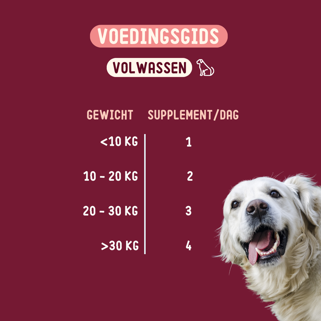 Imby Skin Health Supplement for Dogs - image 7