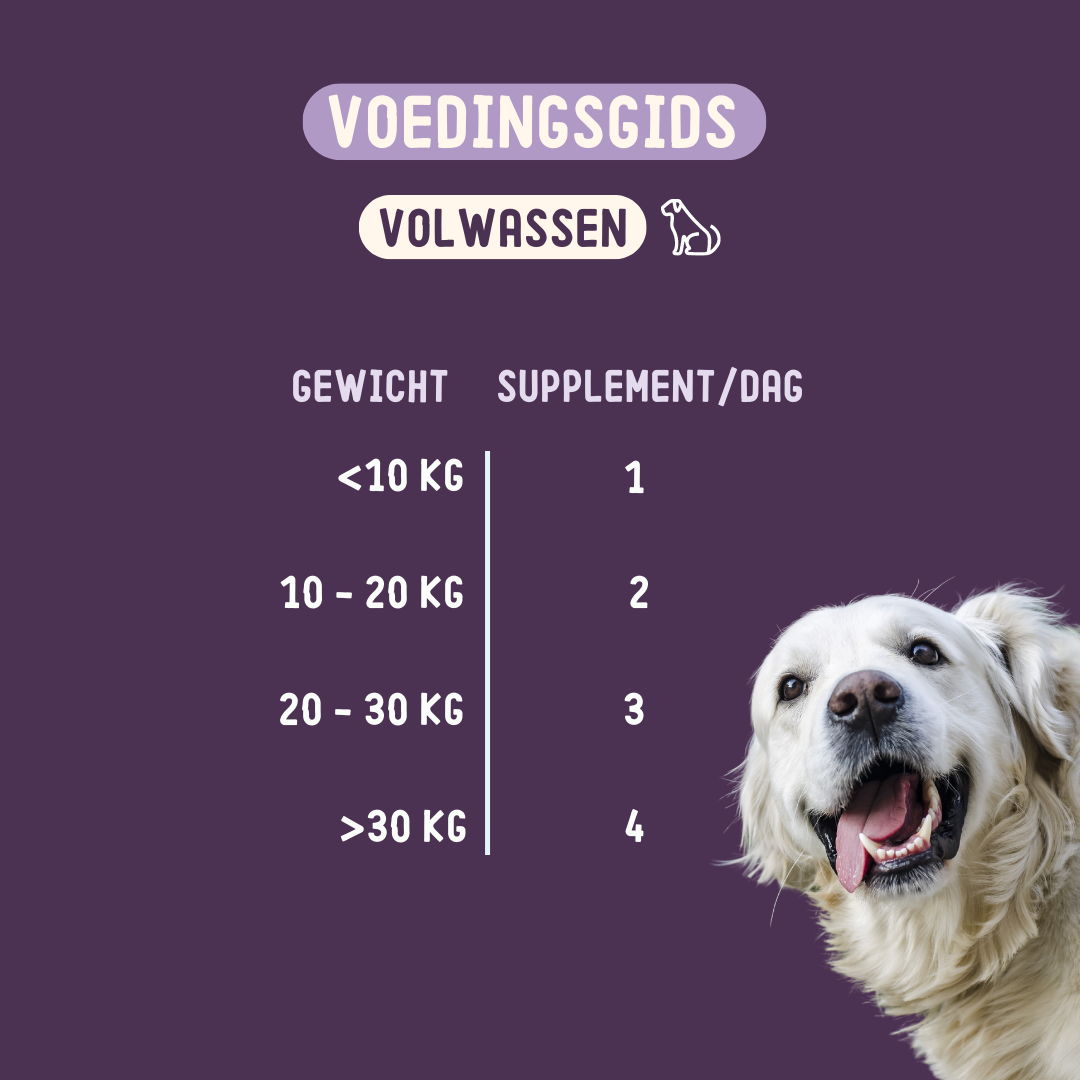 Imby Hip & Joint Supplement for Dogs - image 8