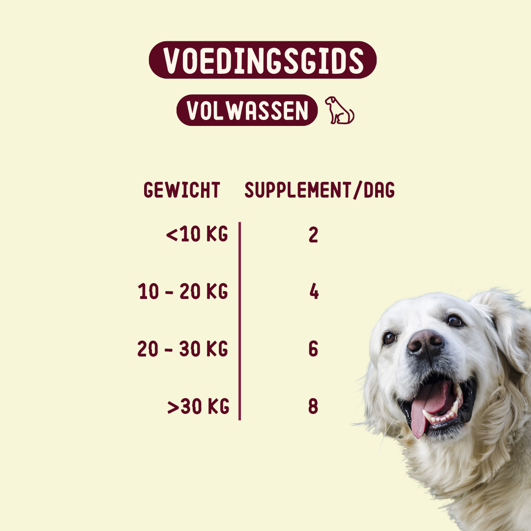 Imby Allergy & Anti-Itch Supplement for Dogs - image 8