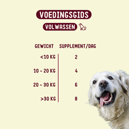 Imby Allergy & Anti-Itch Supplement for Dogs - image 8