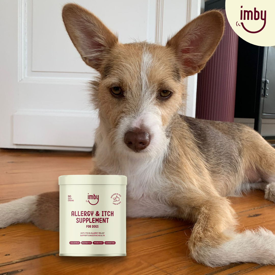 Imby Allergy & Anti-Itch Supplement for Dogs - image 9